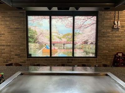 Window Graphics Photo